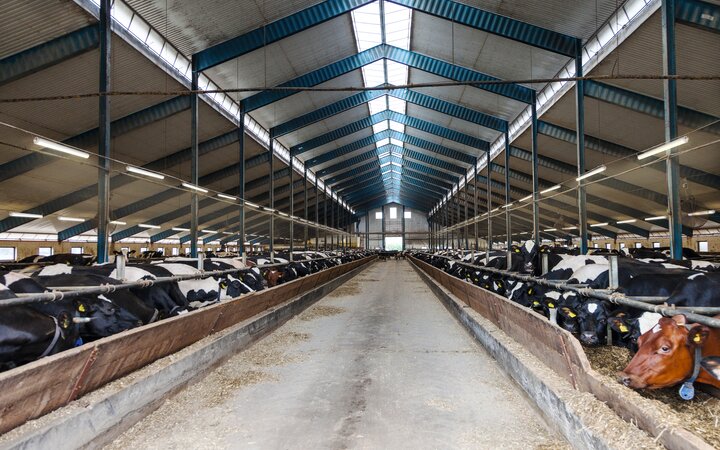 Damp Proof luminaires